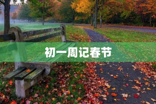 初一周记春节