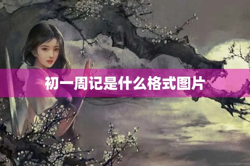 初一周记是什么格式图片 初一周记是什么格式图片