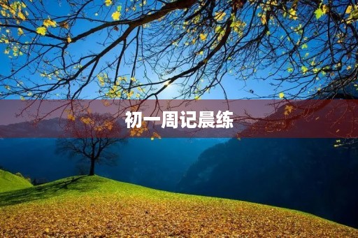初一周记晨练