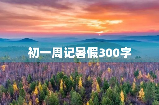 初一周记暑假300字