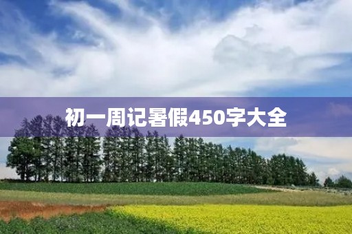 初一周记暑假450字大全