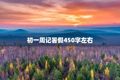 初一周记暑假450字左右