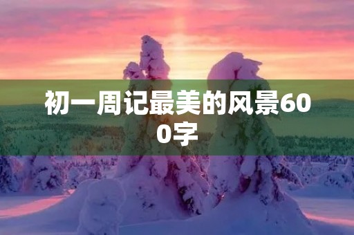 初一周记最美的风景600字 初一周记最美的风景600字