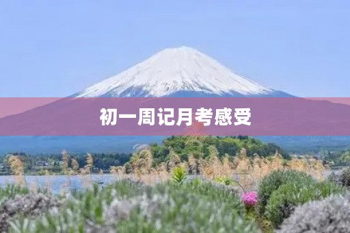 初一周记月考感受 初一周记月考感受