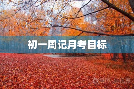 初一周记月考目标