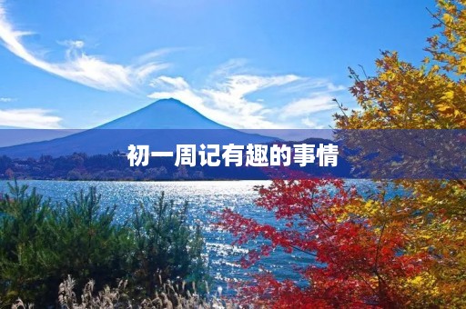 初一周记有趣的事情
