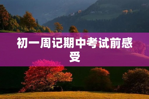 初一周记期中考试前感受