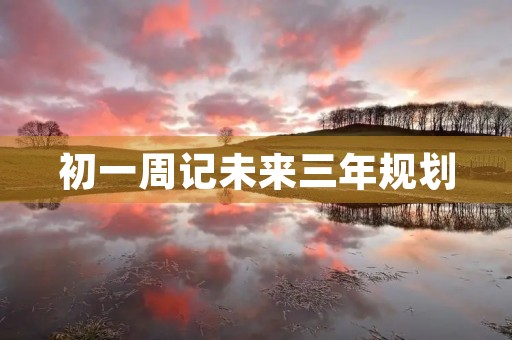 初一周记未来三年规划 初一周记未来三年规划