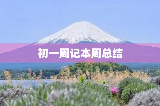 初一周记本周总结