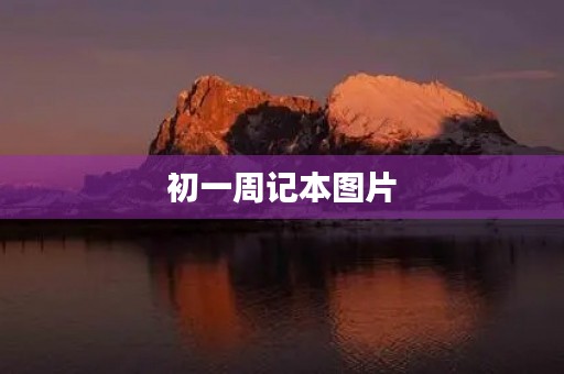 初一周记本图片