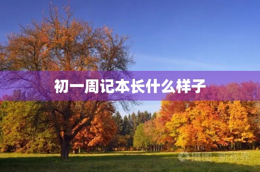 初一周记本长什么样子