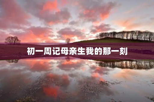 初一周记母亲生我的那一刻 初一周记母亲生我的那一刻