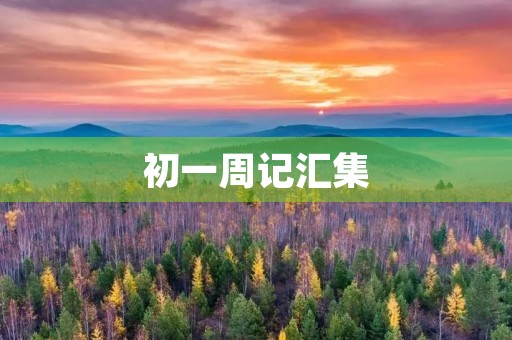 初一周记汇集