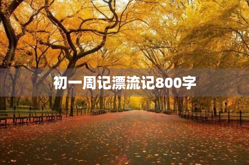 初一周记漂流记800字