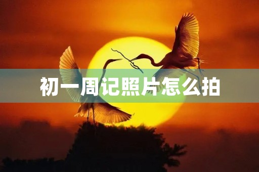 初一周记照片怎么拍 初一周记照片怎么拍