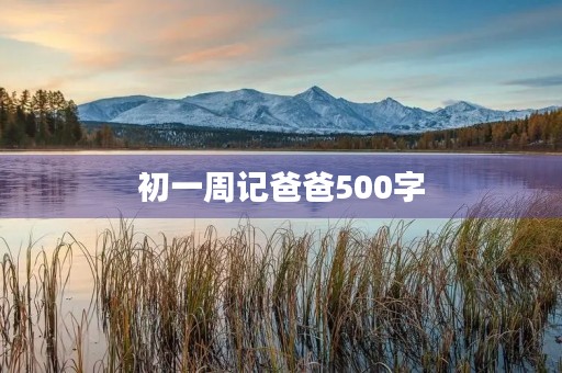 初一周记爸爸500字