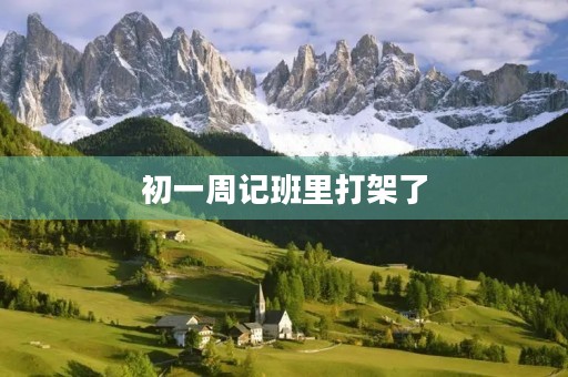 初一周记班里打架了