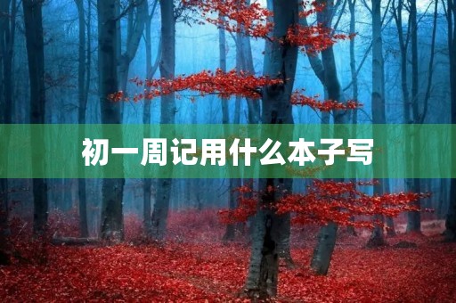 初一周记用什么本子写 初一周记用什么本子写