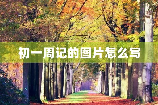 初一周记的图片怎么写