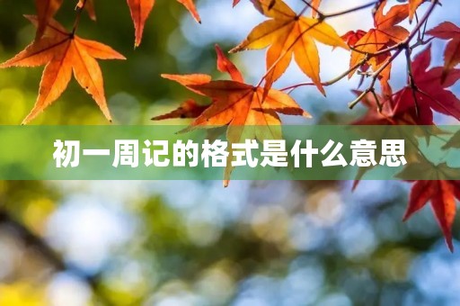 初一周记的格式是什么意思