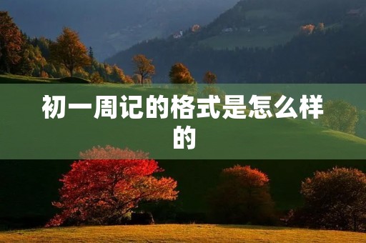 初一周记的格式是怎么样的