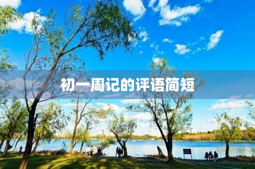 初一周记的评语简短
