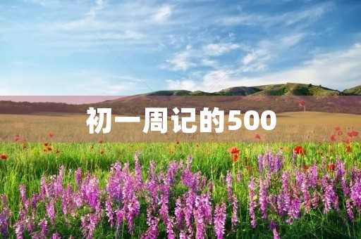 初一周记的500