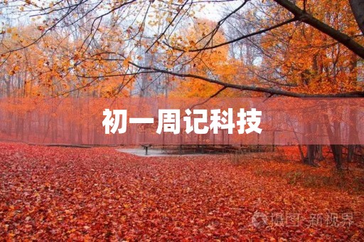 初一周记科技