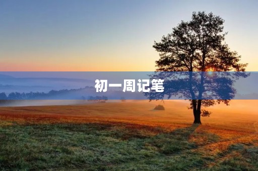初一周记笔