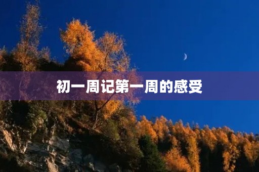初一周记第一周的感受 初一周记第一周的感受