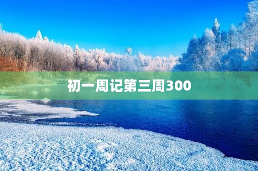 初一周记第三周300