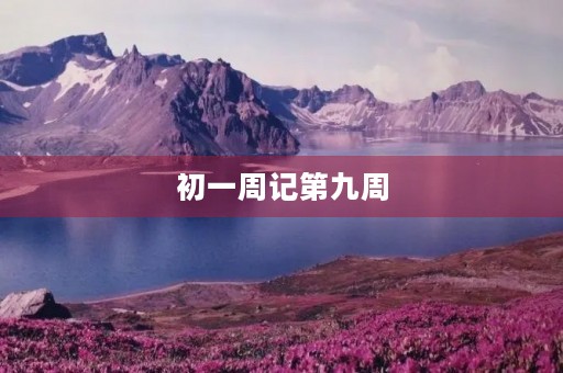 初一周记第九周 初一周记第九周