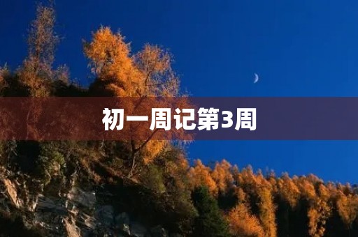 初一周记第3周