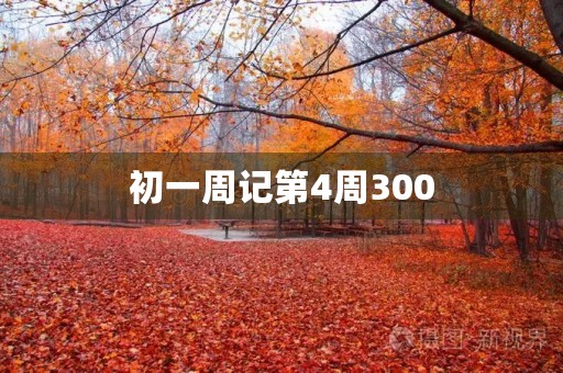初一周记第4周300 初一周记第4周300