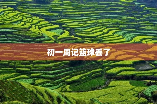 初一周记篮球丢了