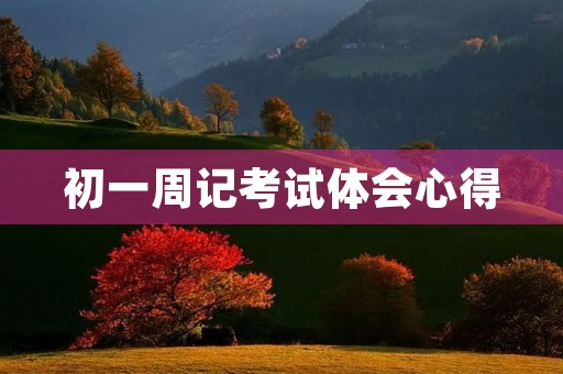 初一周记考试体会心得