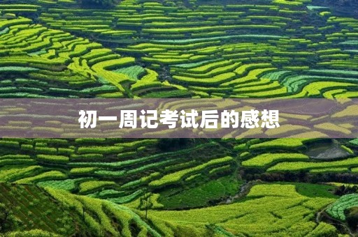 初一周记考试后的感想 初一周记考试后的感想
