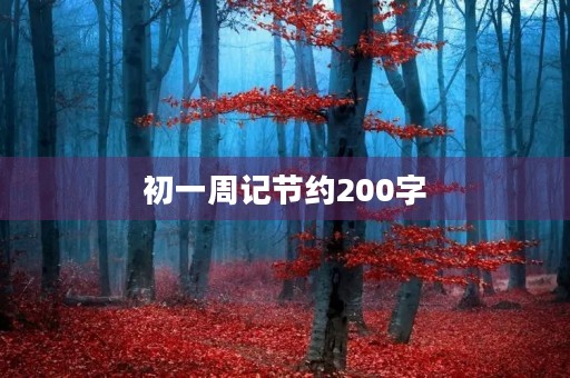 初一周记节约200字