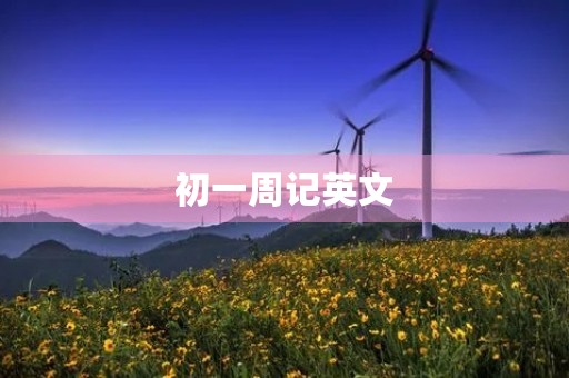 初一周记英文