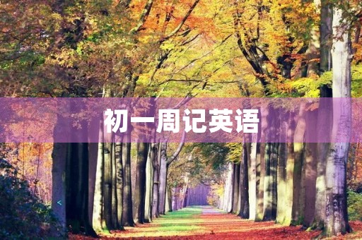 初一周记英语