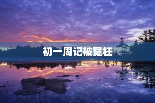 初一周记被冤枉