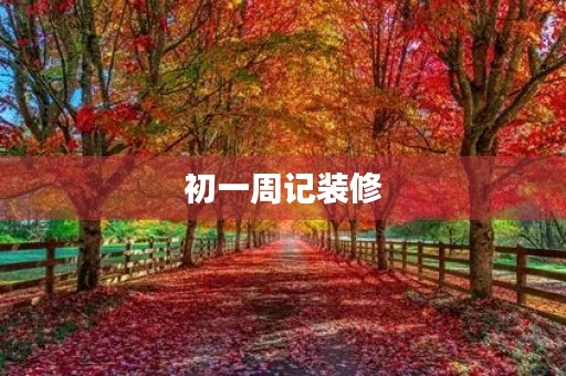 初一周记装修