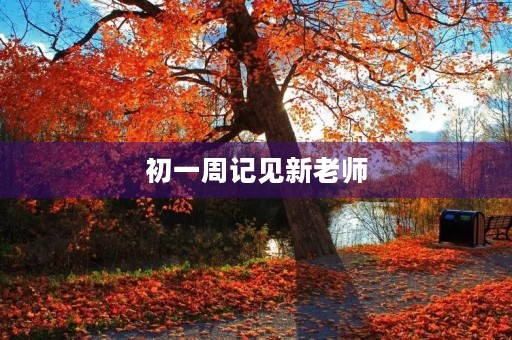 初一周记见新老师