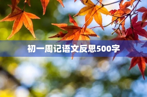 初一周记语文反思500字 初一周记语文反思500字