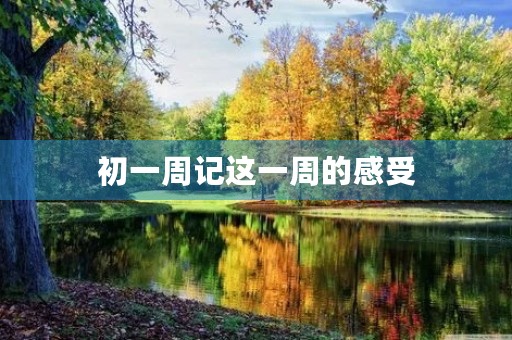 初一周记这一周的感受