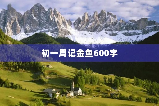 初一周记金鱼600字