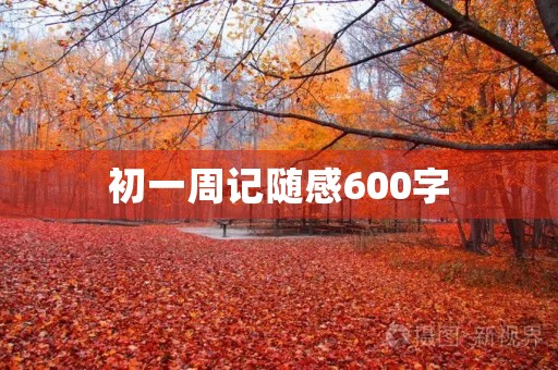 初一周记随感600字 初一周记随感600字