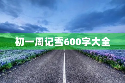 初一周记雪600字大全