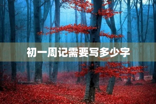 初一周记需要写多少字
