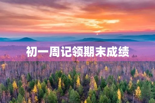 初一周记领期末成绩 初一周记领期末成绩